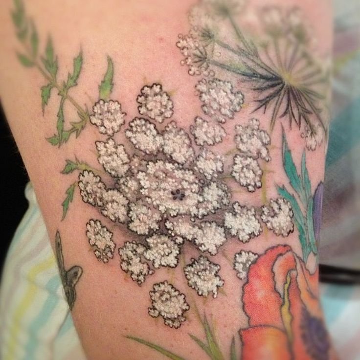 Queen Anne's Lace Tattoo: Delicate Design Inspiration