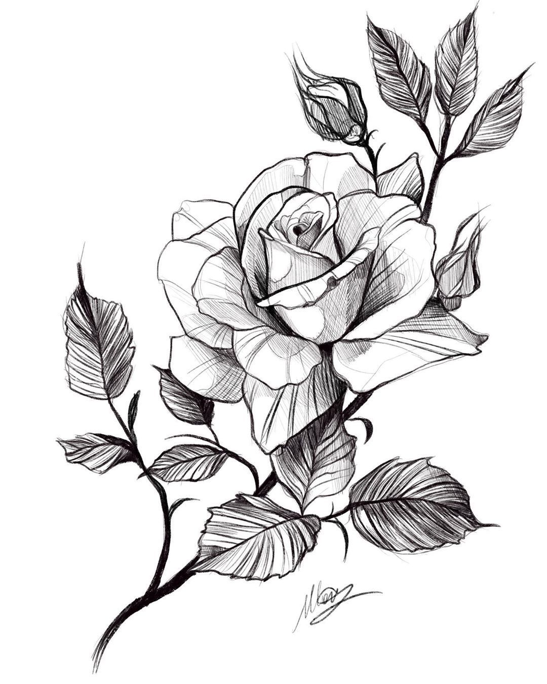 Rainbow Rose Disegno Di Fiori Tatuaggio Di Fiori Tatuaggi Arcobaleno