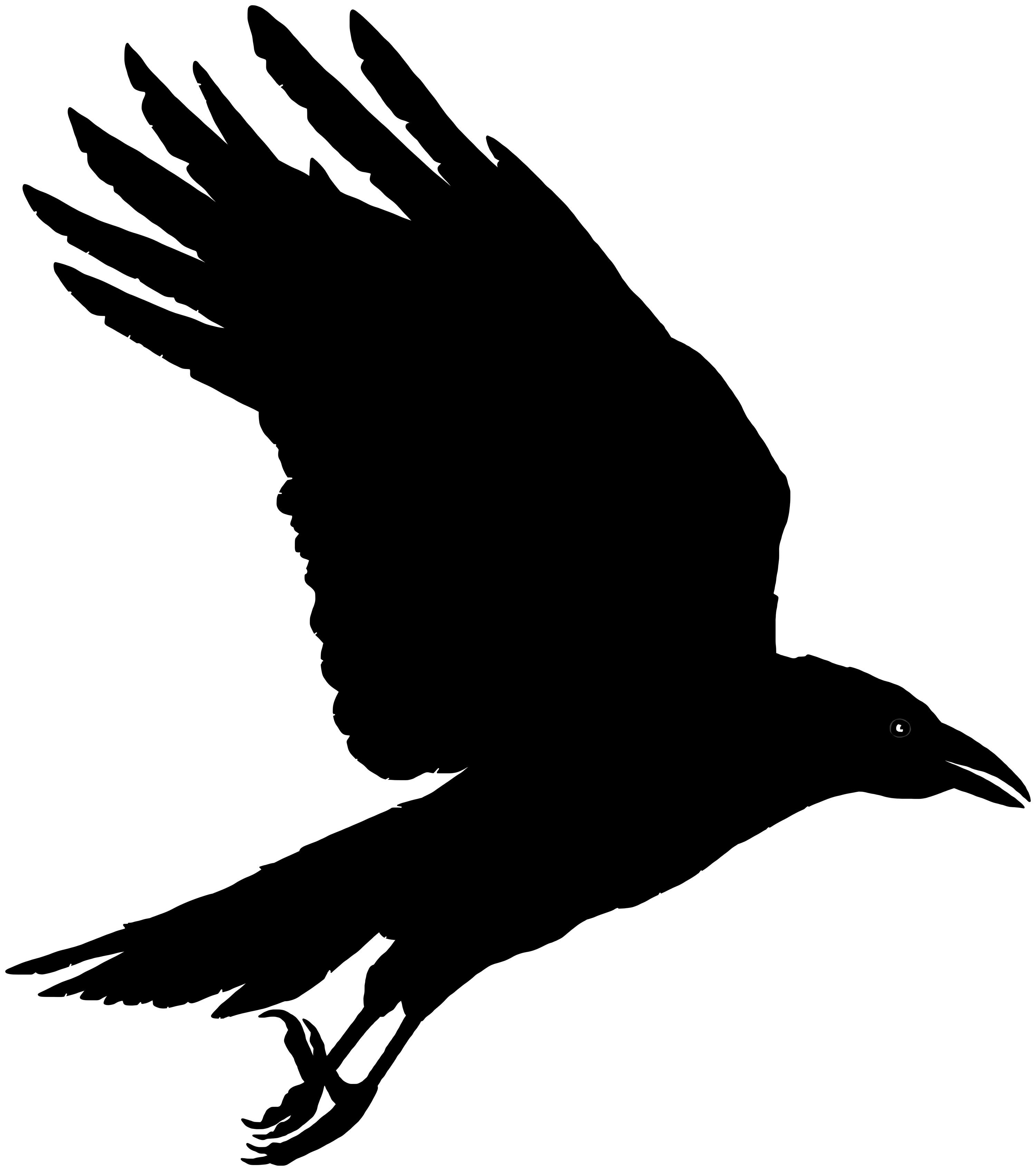 Raven Painted In Ink Flying Crows Grunge Silhouette Of A Crow On A