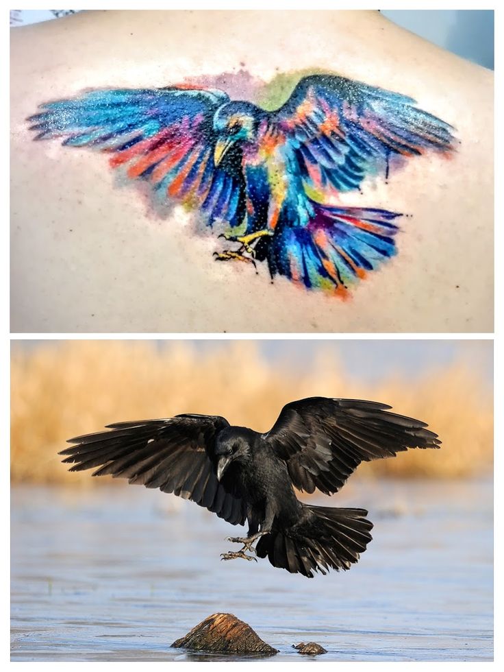 Raven Watercolor Style Tattoo By Lena At Psychoarttattoo Raven Tattoo