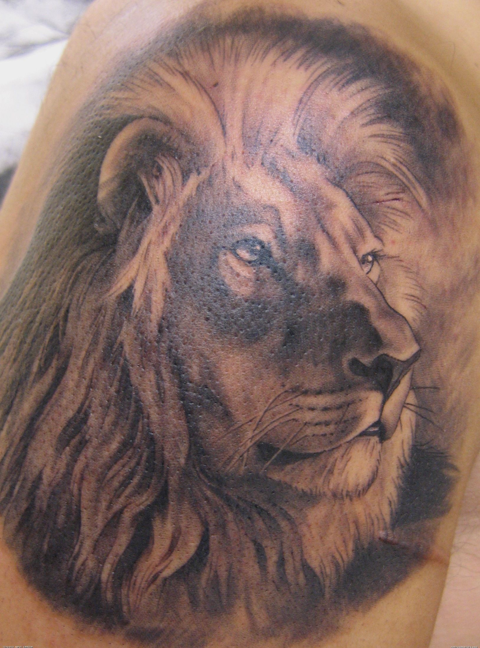 Realistic Lion Head Tattoos