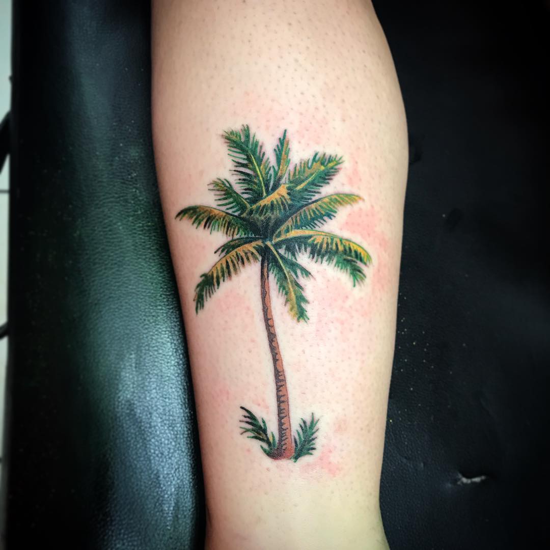 5 Tips for Choosing a Realistic Palm Tree Tattoo Design