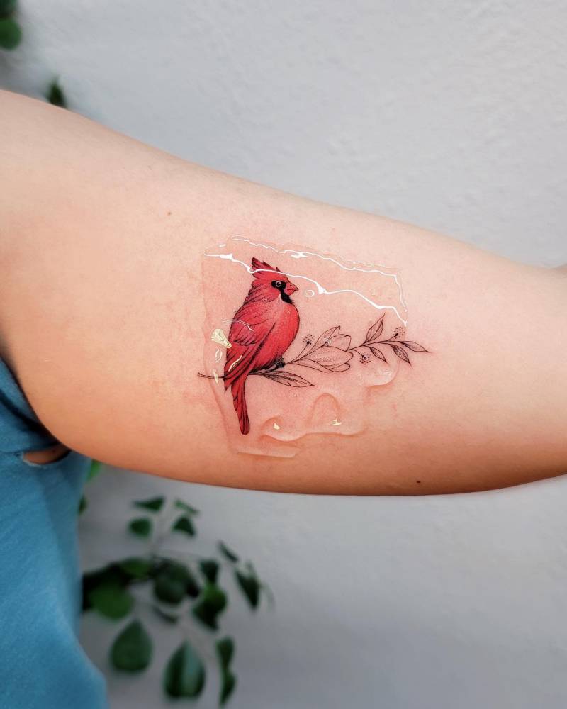 Realistic Red Cardinal Tattoo Done By Brandon Marques Timeless Tattoo