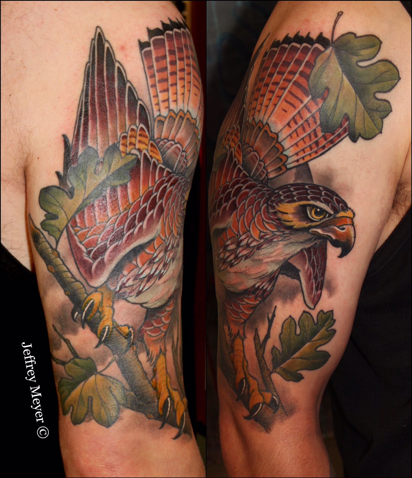 Red Tail Hawk Tattoo