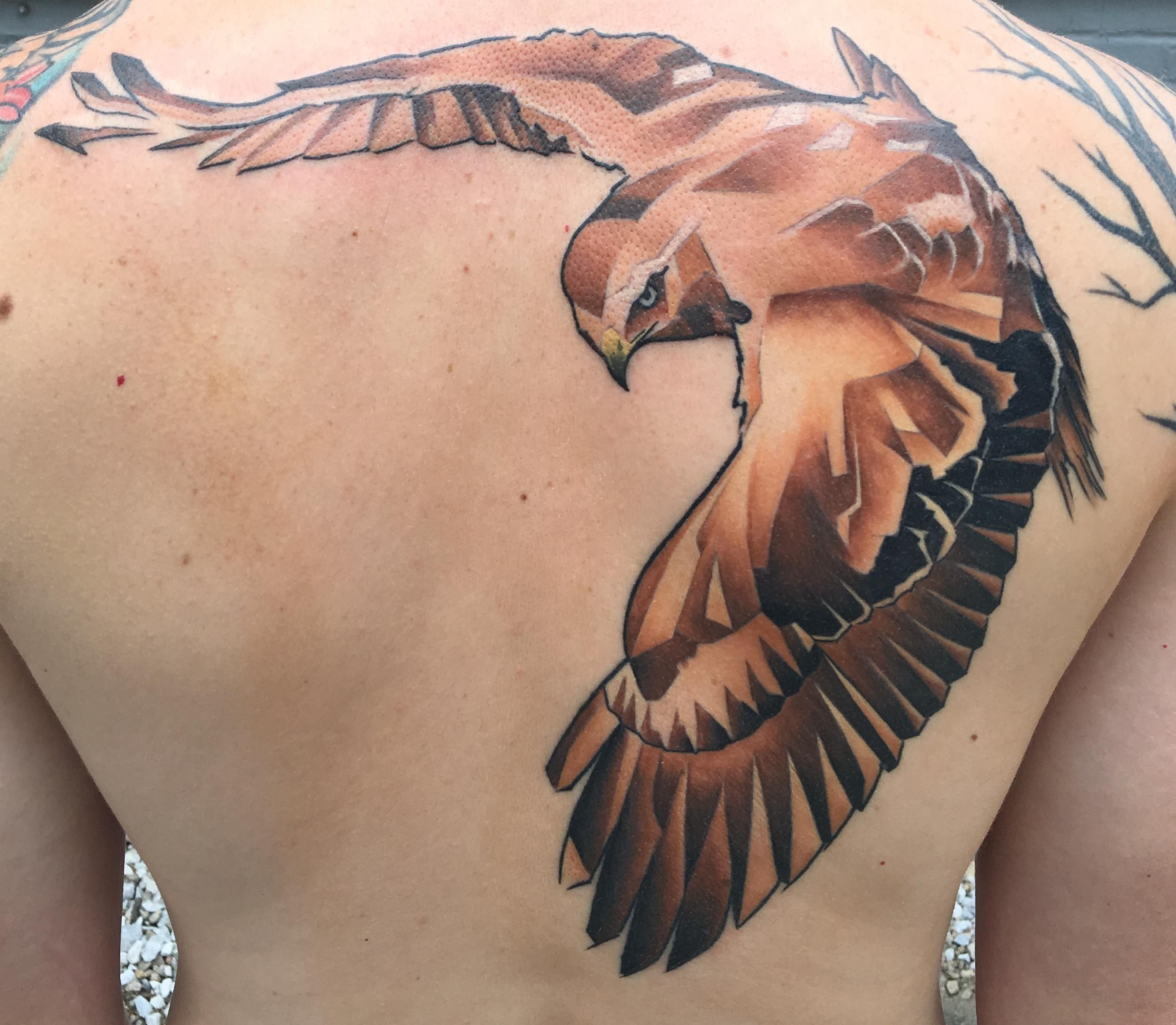 Red Tailed Hawk Tattoo Design