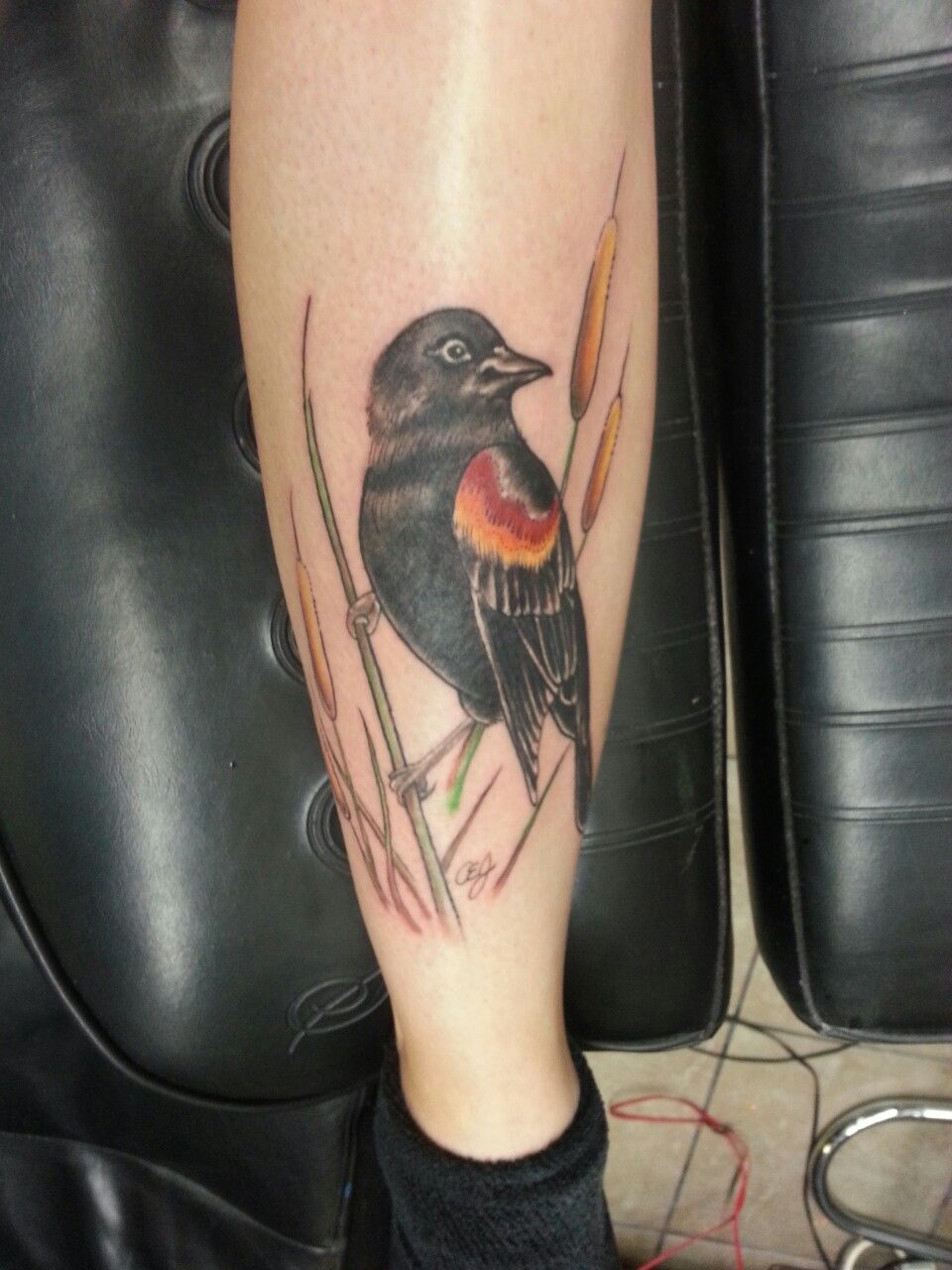 Red Winged Blackbird Corey Bernhardt Reclamare Tattoo And Gallery