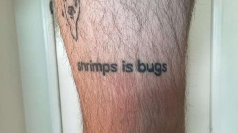 Redditor Wants To Cover Up His Dumb Shrimps Is Bugs Tattoo