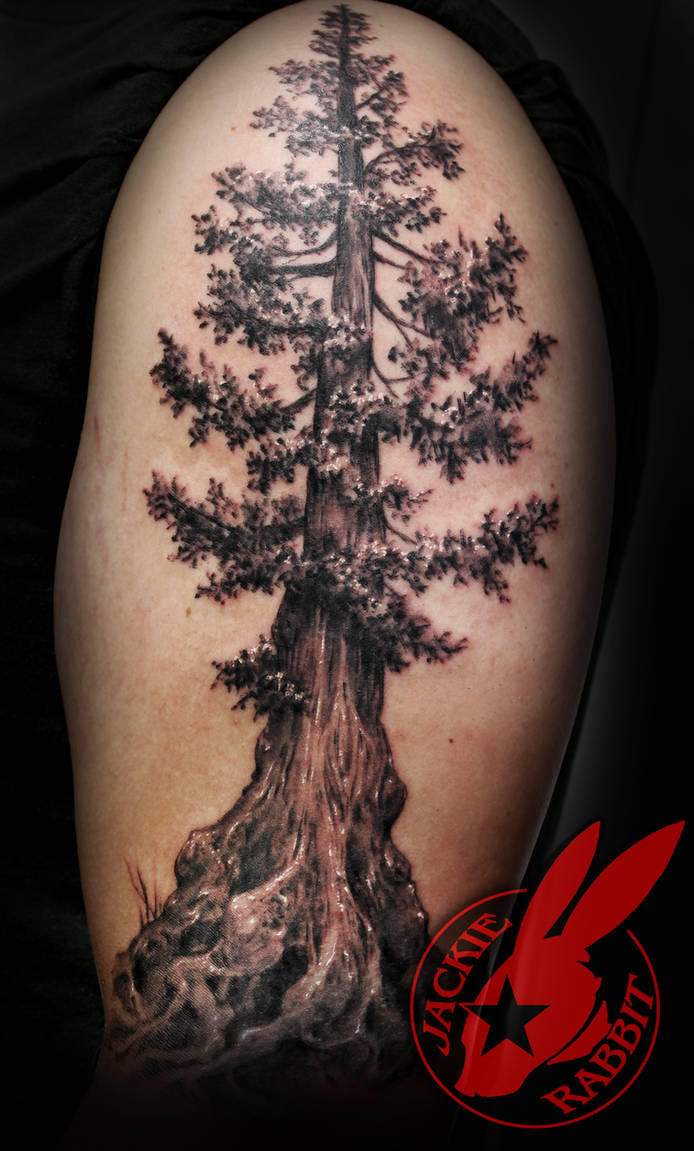 Redwood Tree Realistic Tattoo By Jackie Rabbit By Jackierabbit12 On