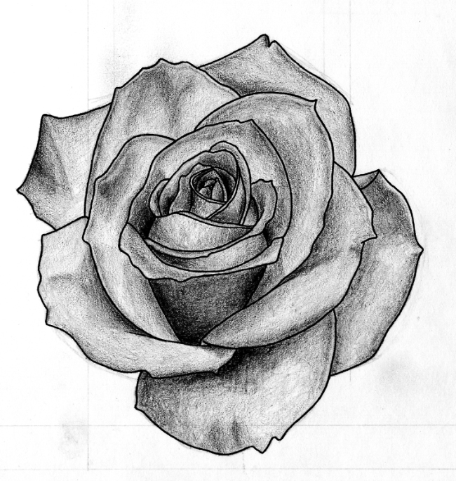 5 Easy Steps for Rose Black and White Drawing