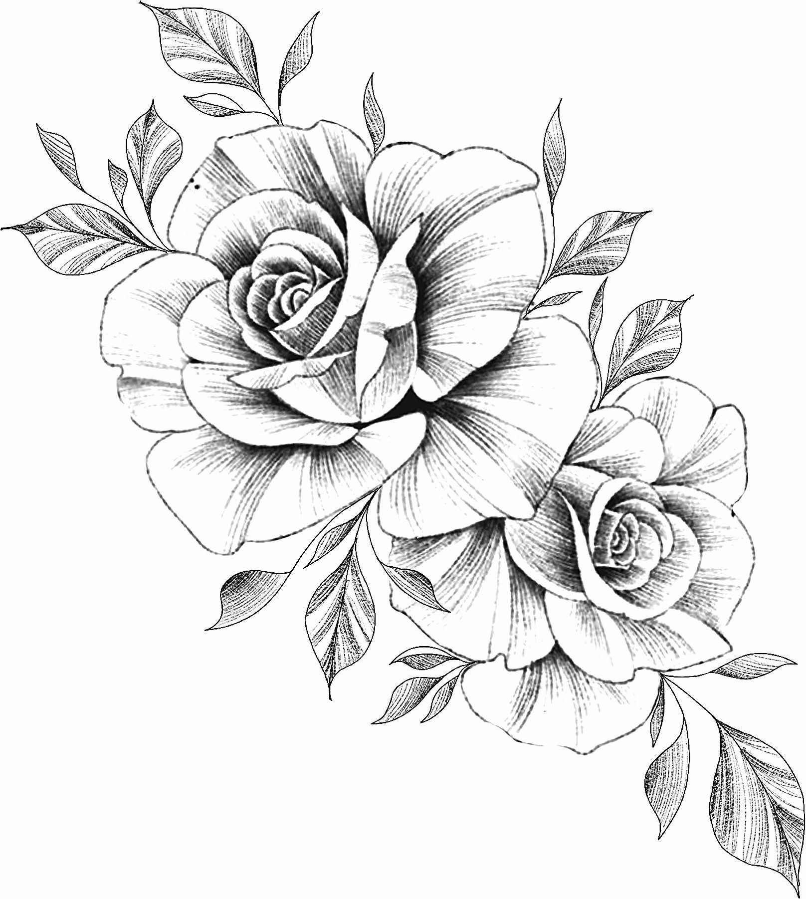 Rose Flower Tattoo Drawing