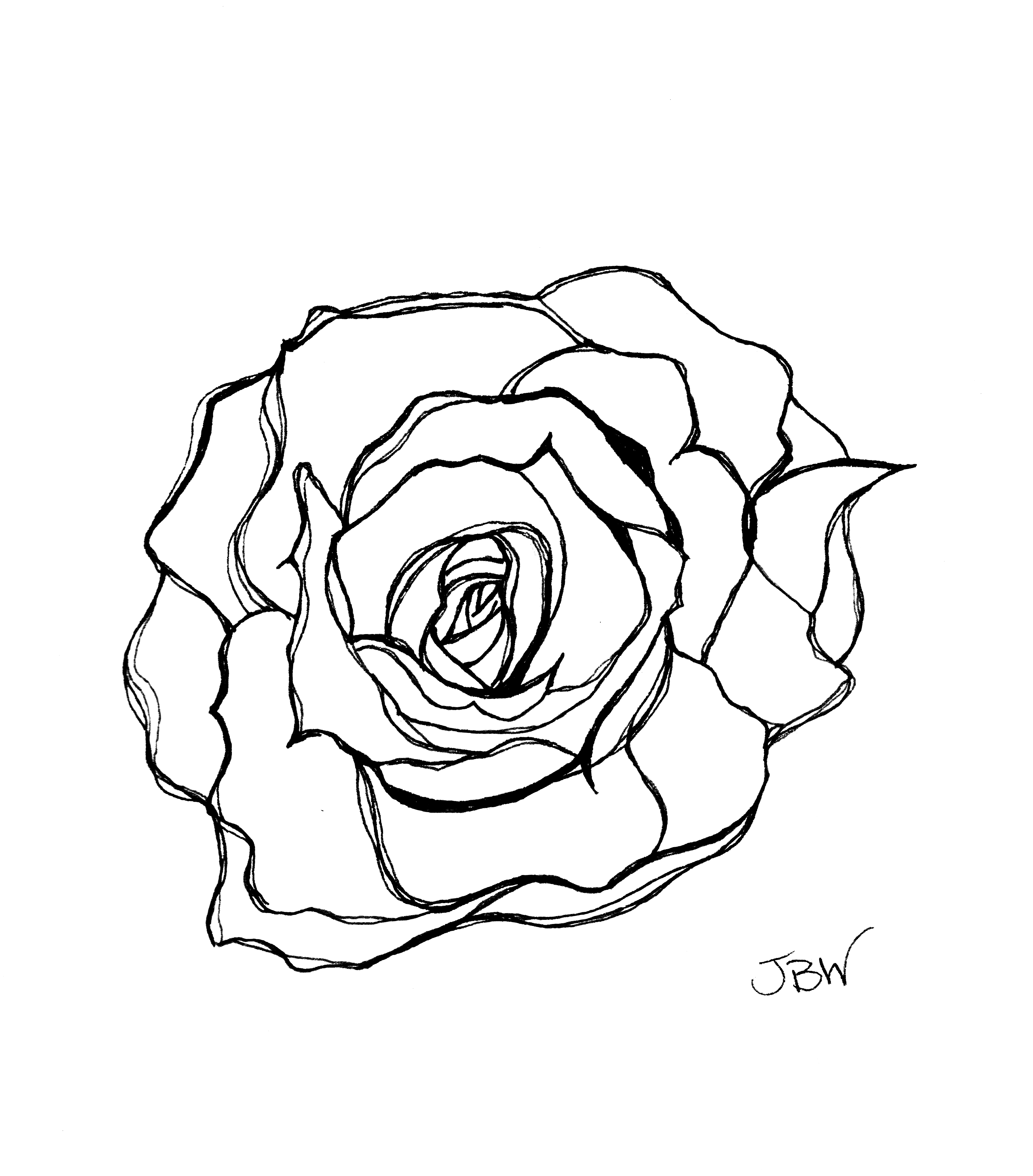 Rose Tattoos Drawing At Getdrawings Free Download