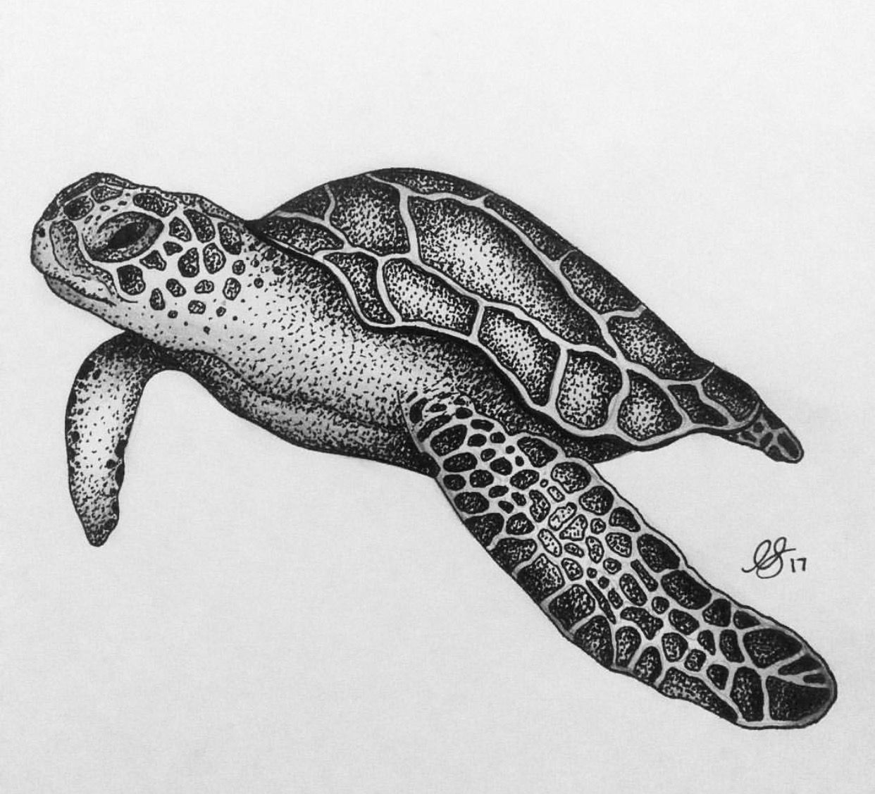 7 Creative Sea Turtle Tattoo Ideas You'll Love