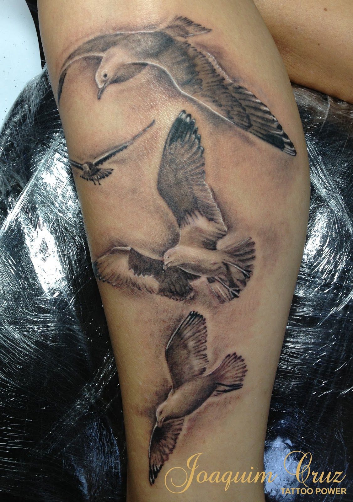 Seagull Tattoo By Doris Tattoo Tattoos Tattoo Artists Seagull Tattoo