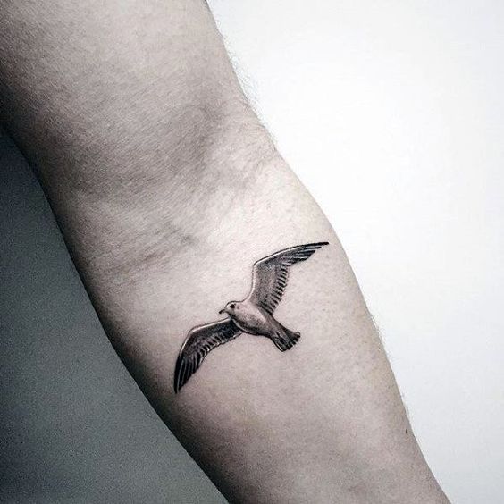 Seagull Tattoo Design Images Seagull Ink Design Ideas In 2022