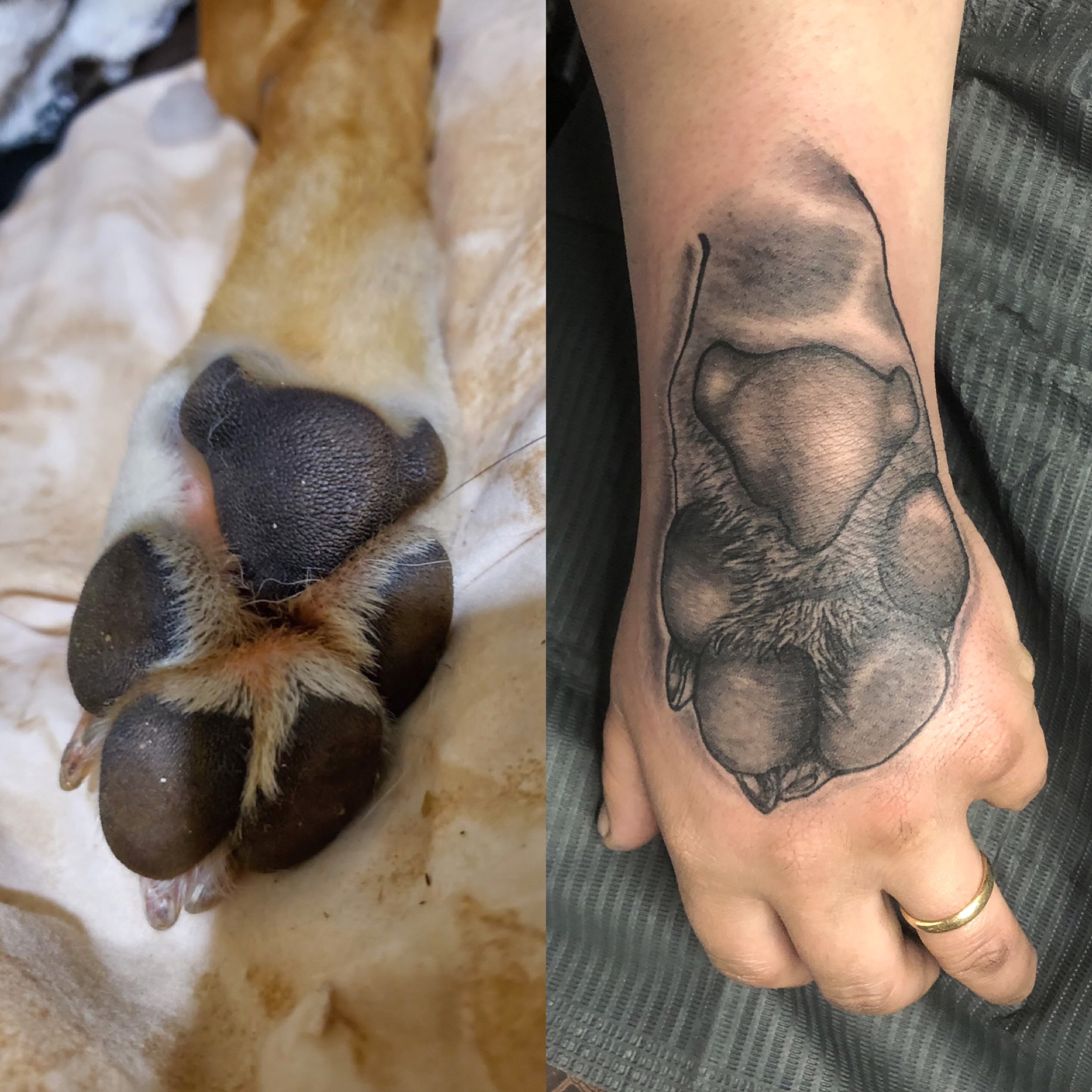 Share More Than 53 Memorial Paw Print Tattoo Latest In Cdgdbentre