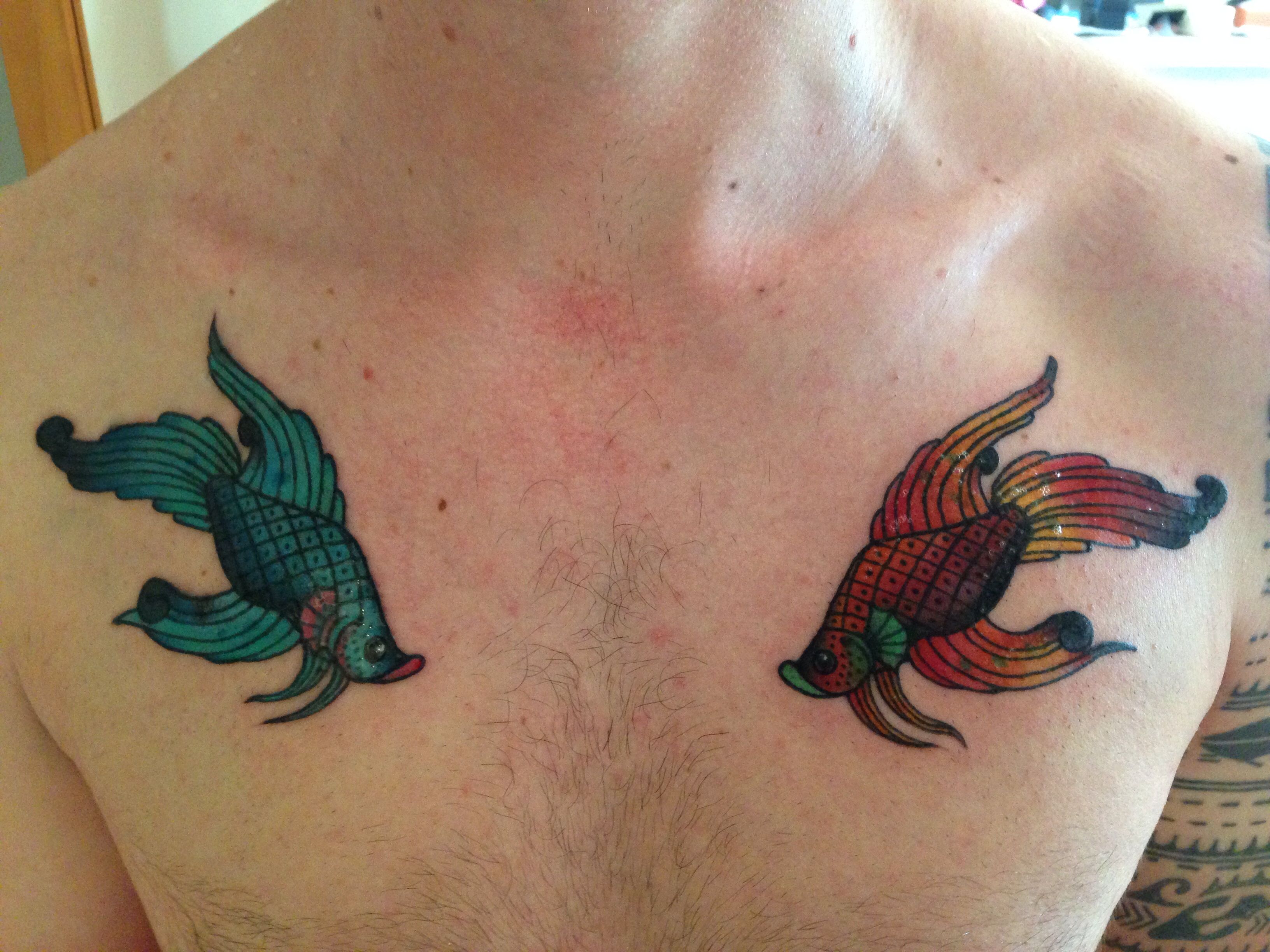 Siamese Fighting Fish Tattoo Watercolour Betta Fish Tattoo Tattoos Small Tattoos