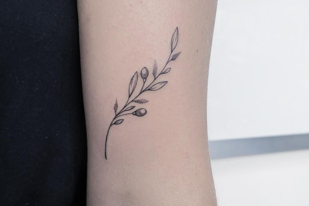 Simple But Sweet Olive Branch For Rachael Thanks So Much Love Have A