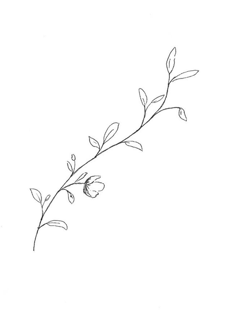 Simple Vine Tattoo Designs Design Talk