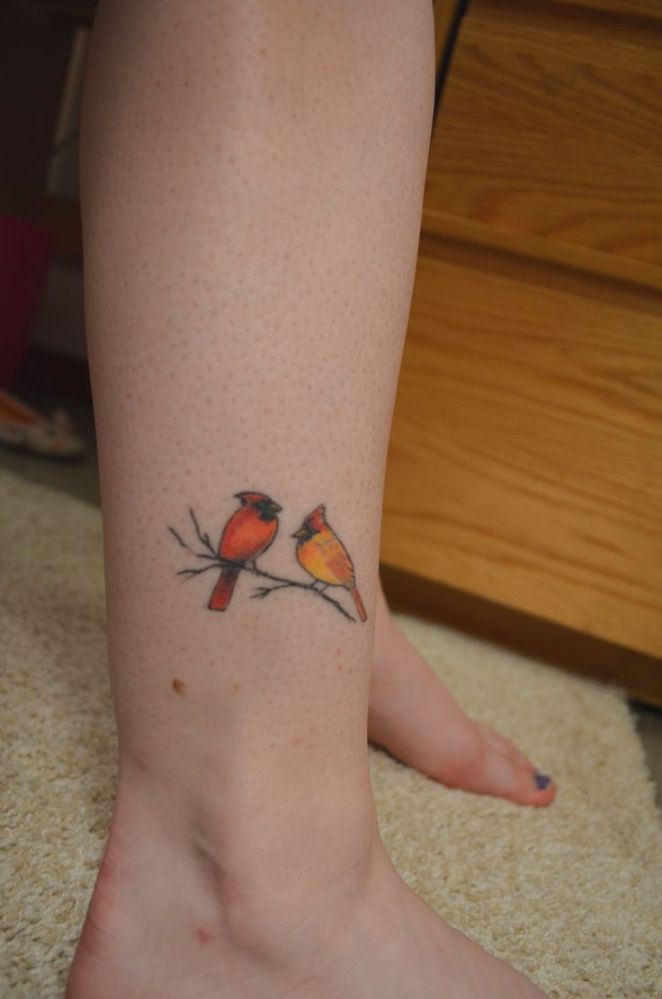 Small Cardinal Tattoo Cardinal Bird Tattoos Red Bird Tattoos