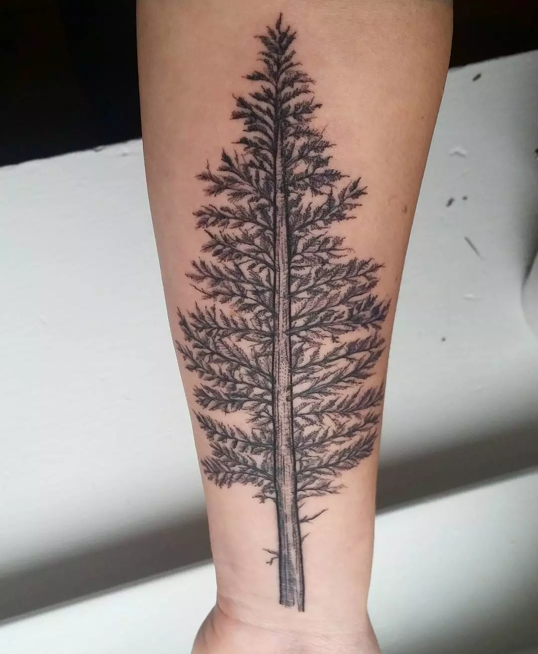 Small Pine Tree Tattoo: Discover Its Symbolism and Style