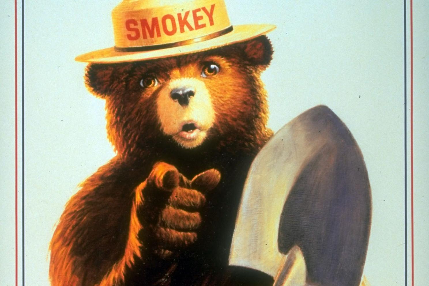 5 Ways Smokey The Bear Sunglasses Boost Your Style