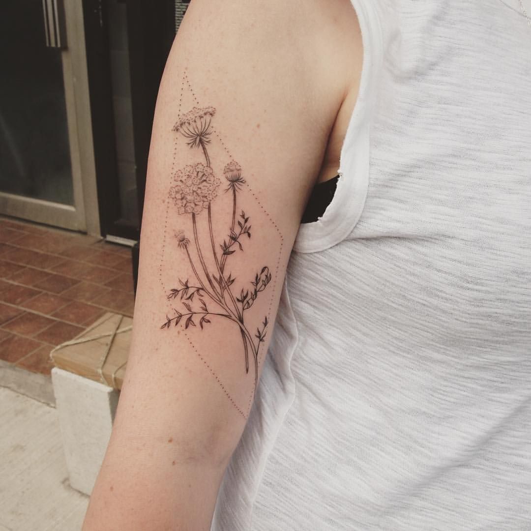 Some Cute Queen Anne S Lace I Tattoo Flower Tattoo Queen Annes Lace