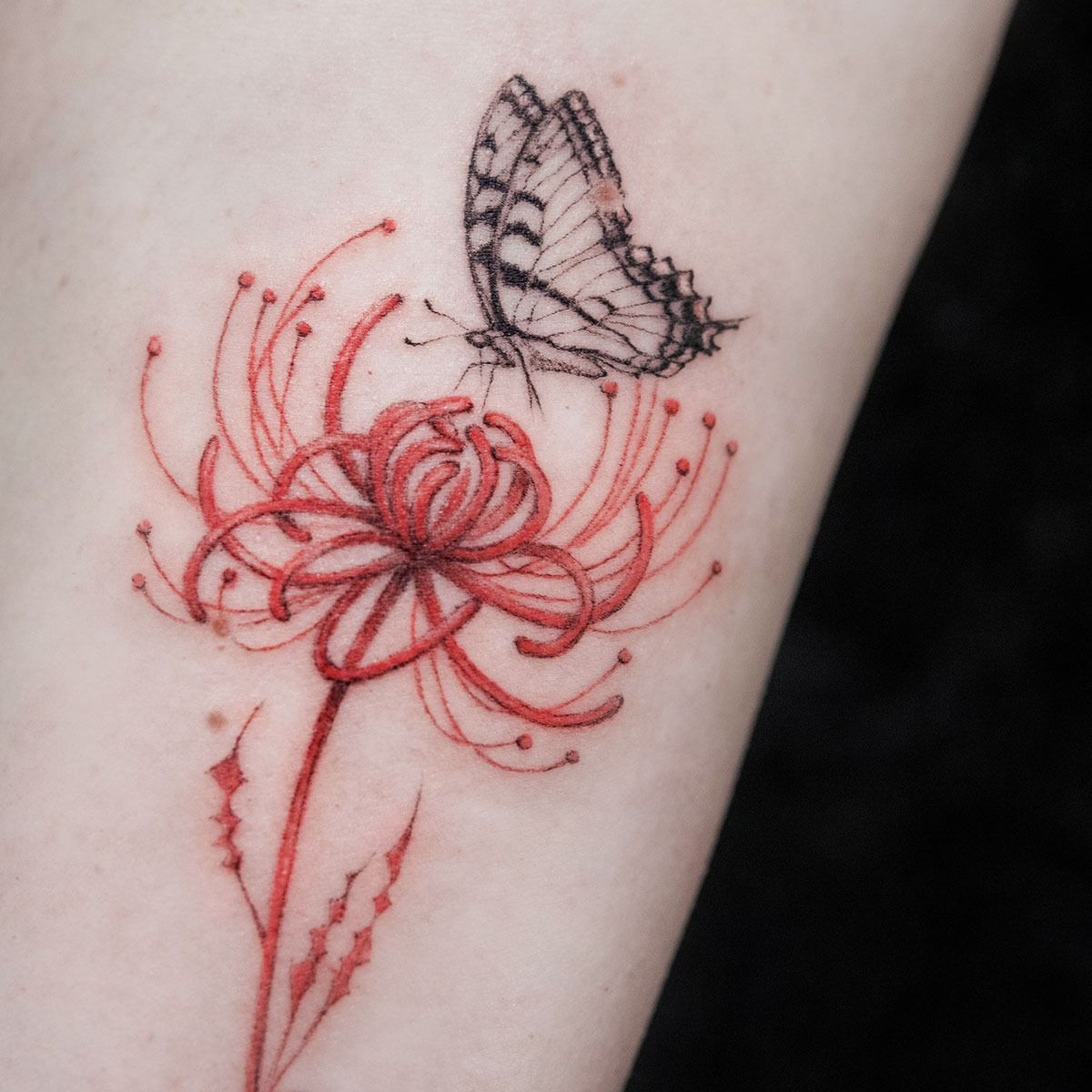 Spider Lily Tattoo What Does Spider Lily Tattoo Mean