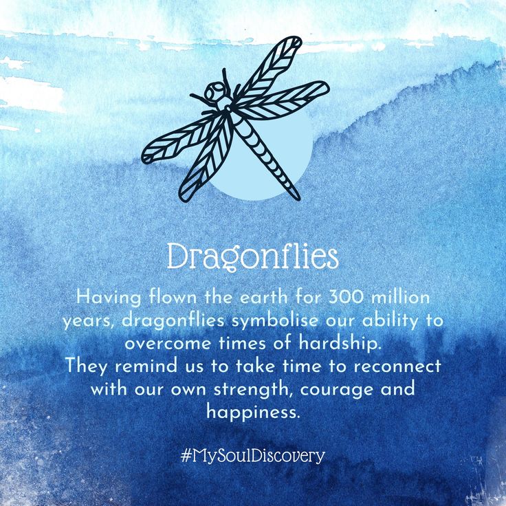 Spirit Animal Dragonfly In 2023 Spirit Animal Dragonfly Meaning