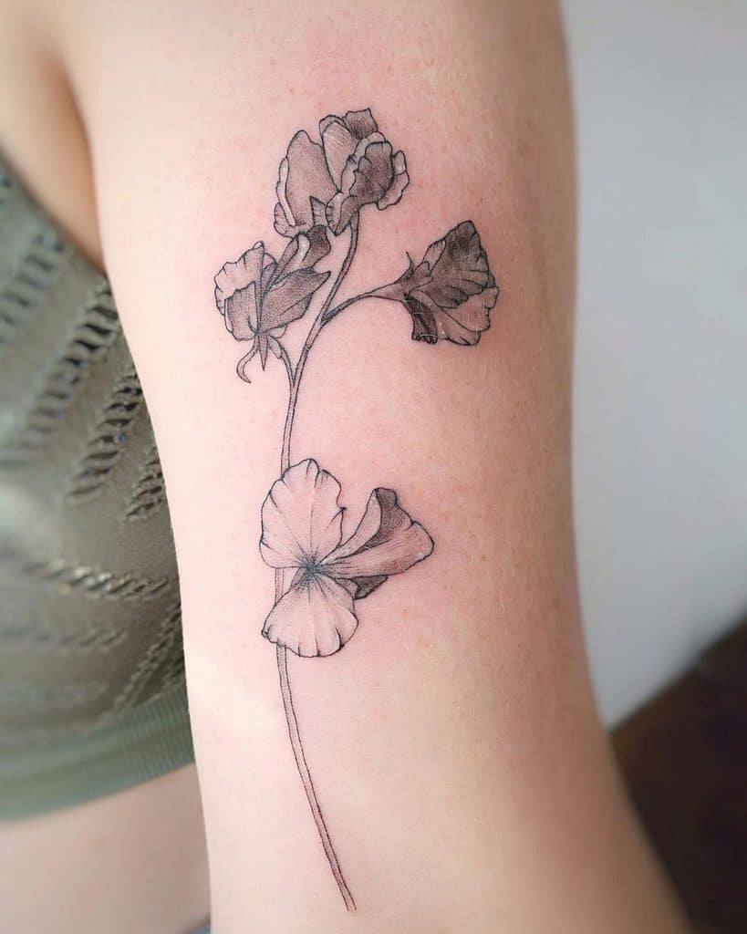 7 Stunning Sweet Pea Flower Tattoo Ideas