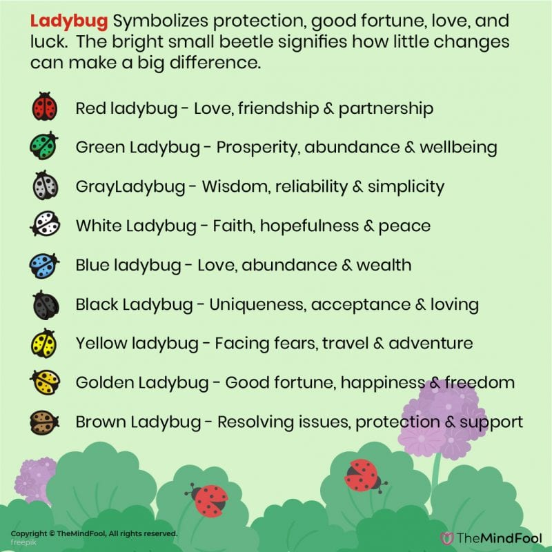 Symbolic Ladybug Tattoo Ideas And Ladybug Meaning On Whats Your Sign