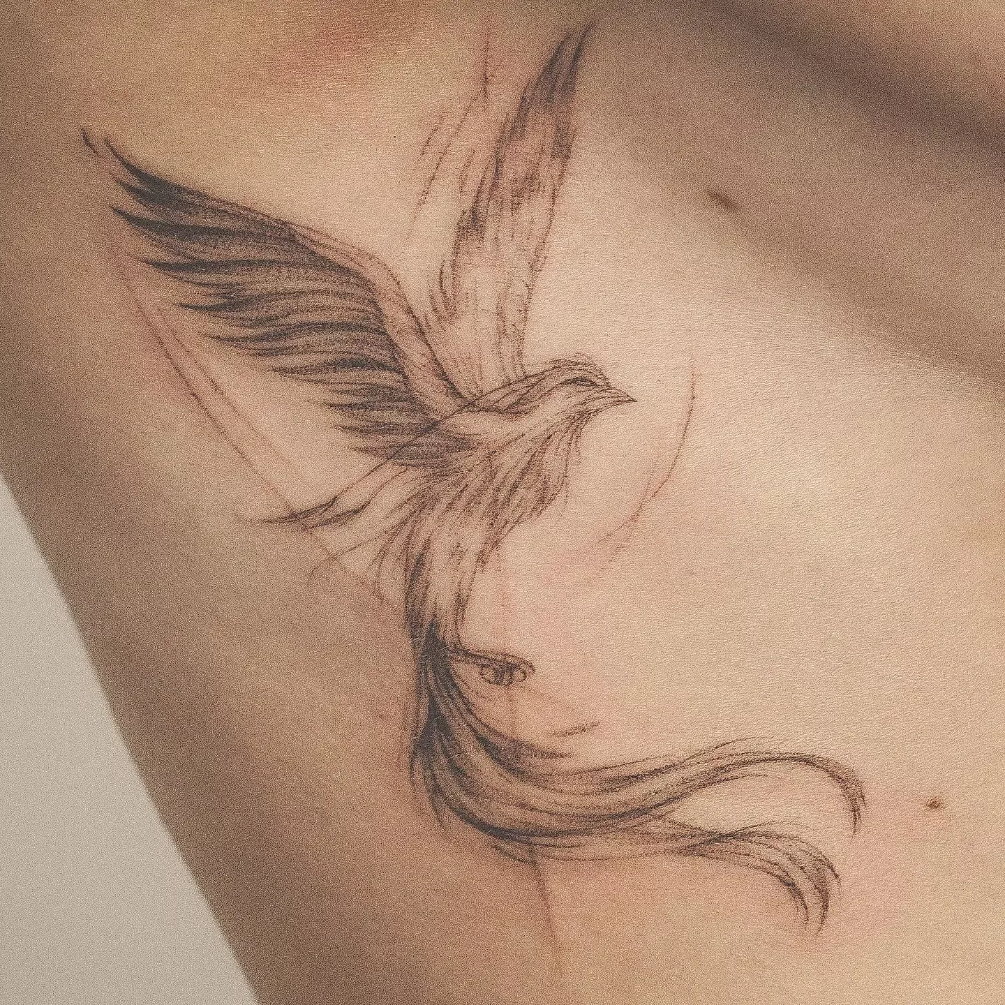 Tailored Phoenix Tattoo Designs To Fit Any Style