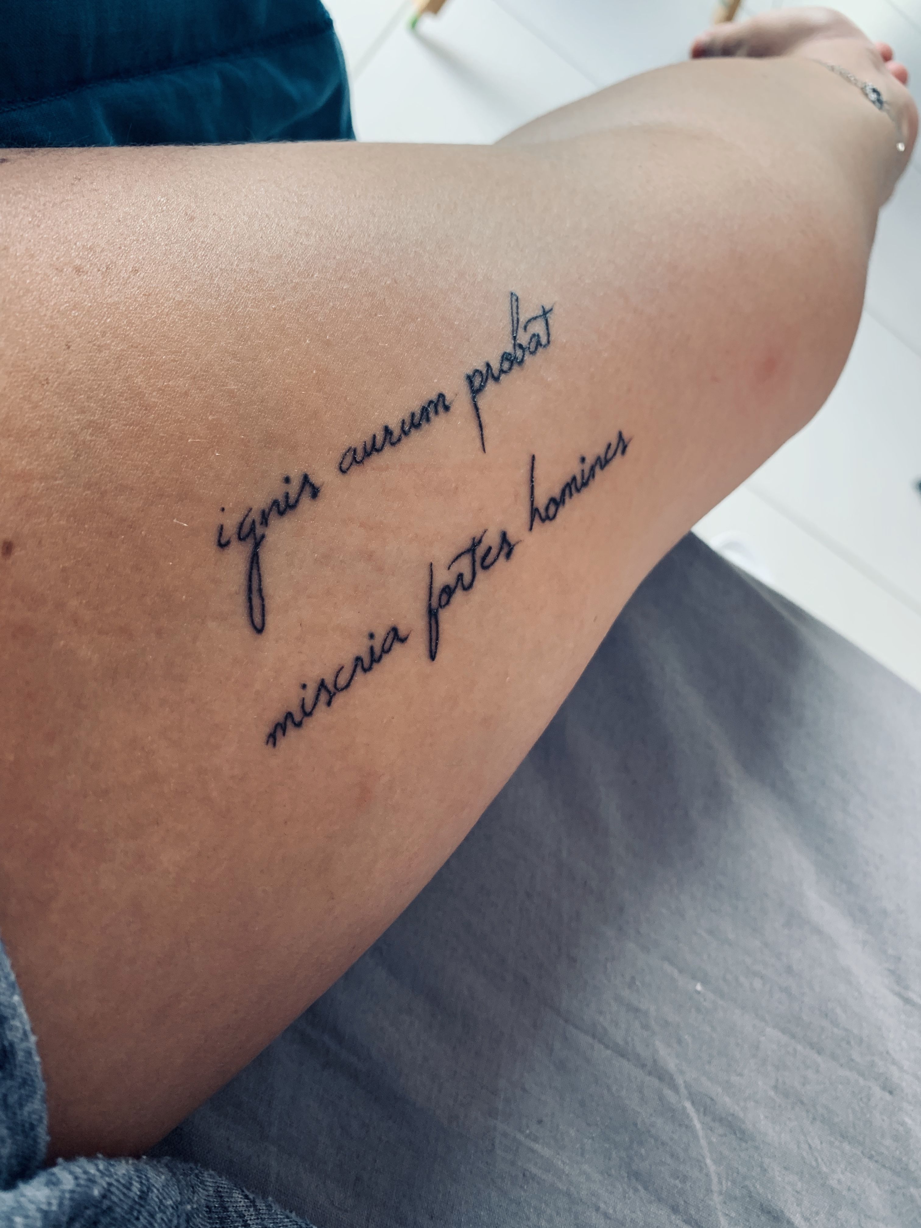 Tattoo Latin Quote In 2023 Tattoos Tatt Body Art