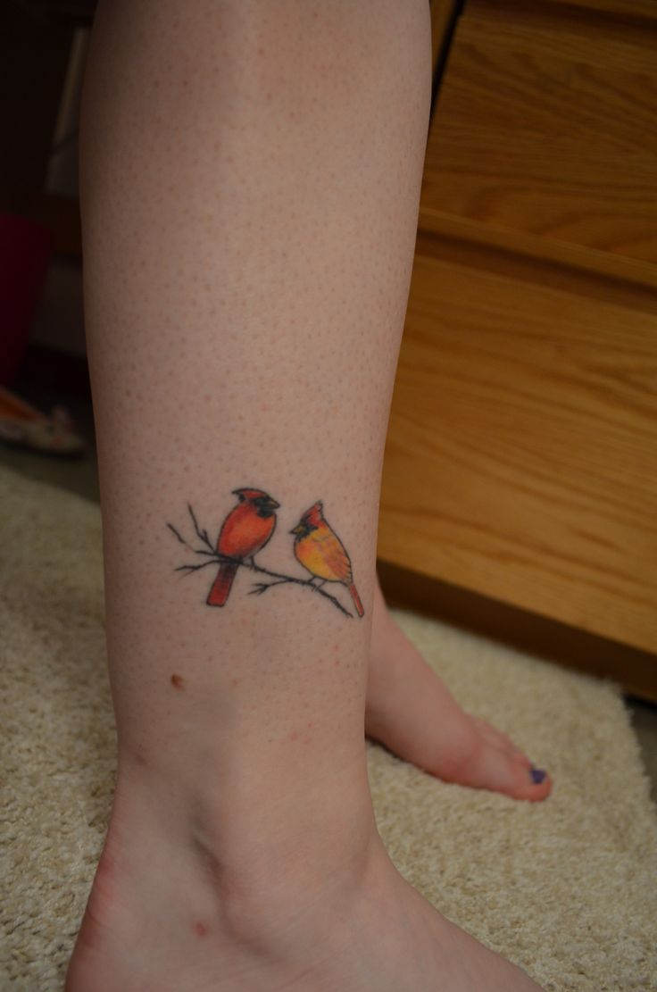 5 Reasons to Get a Cardinal Tattoo: Symbolism Revealed