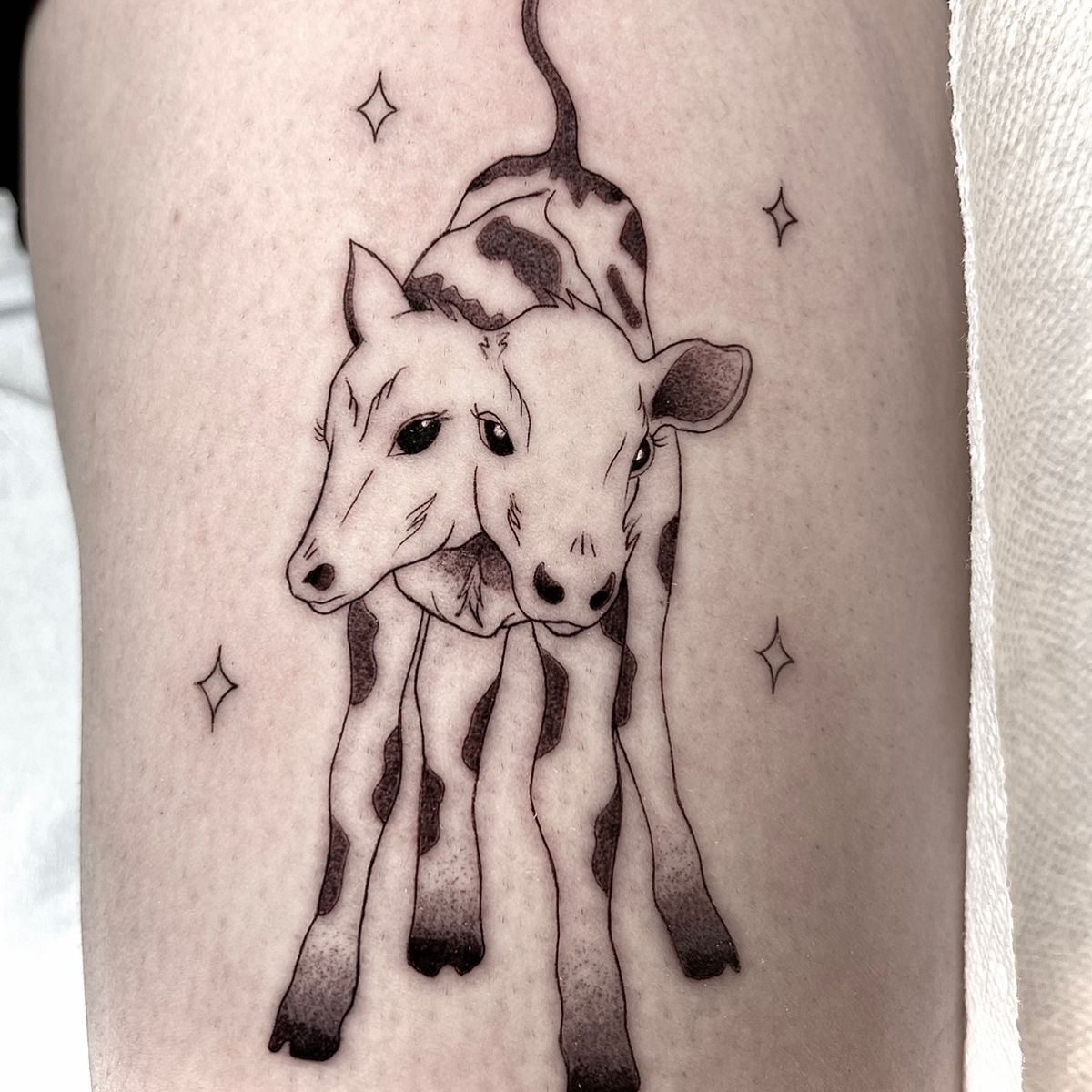 Tattoo Uploaded By Manny Perez Fine Line Two Headed Cow Tattoodo