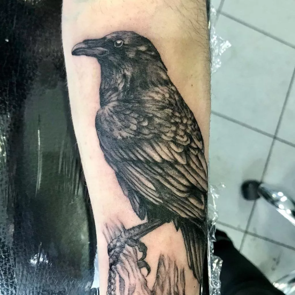 Tattoo Uploaded By Orla Awesome Detailed Black Grey Crow Raven Bird