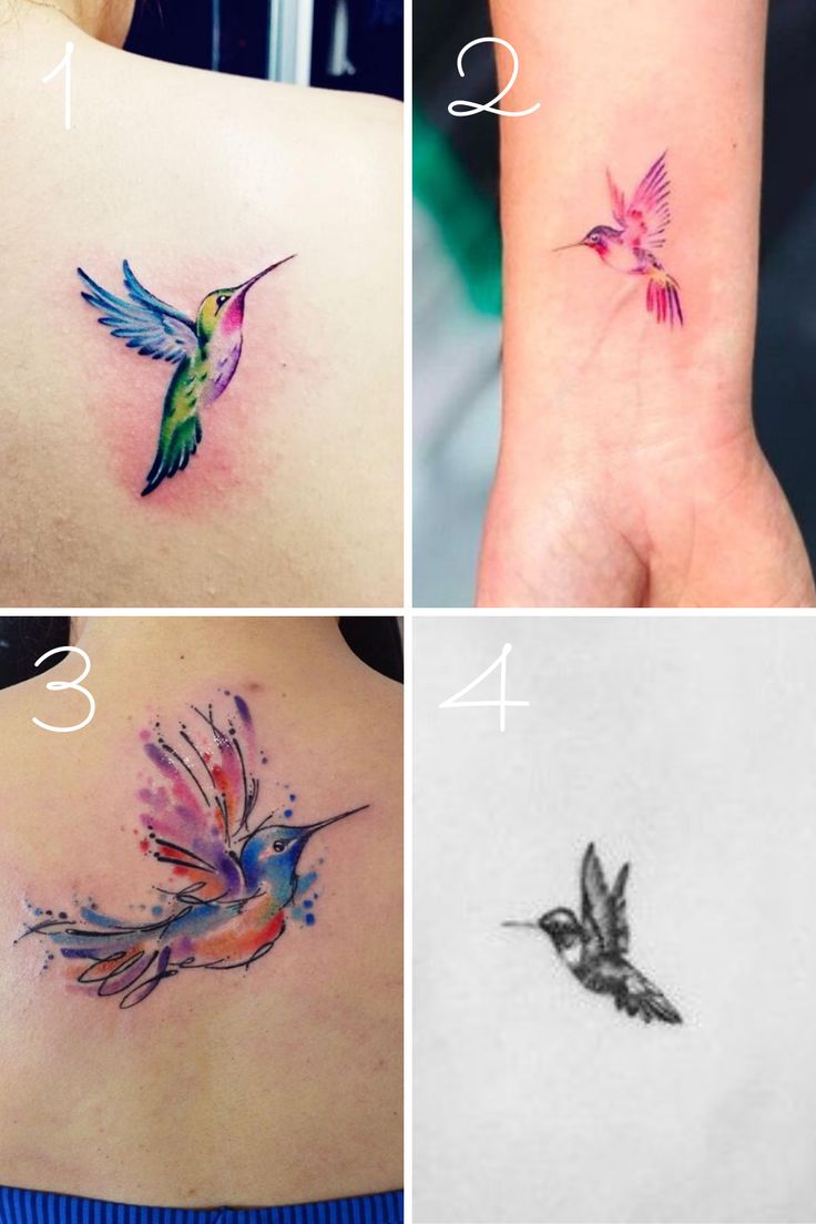 5 Stunning Hummingbird and Butterfly Tattoo Ideas