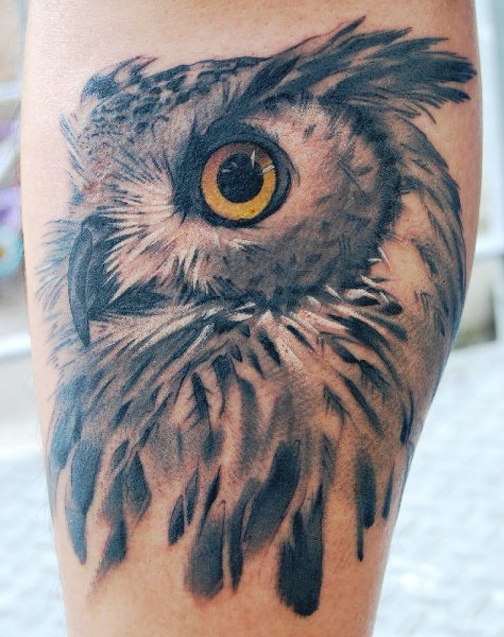 5 Stunning Owl Tattoo Designs for Men