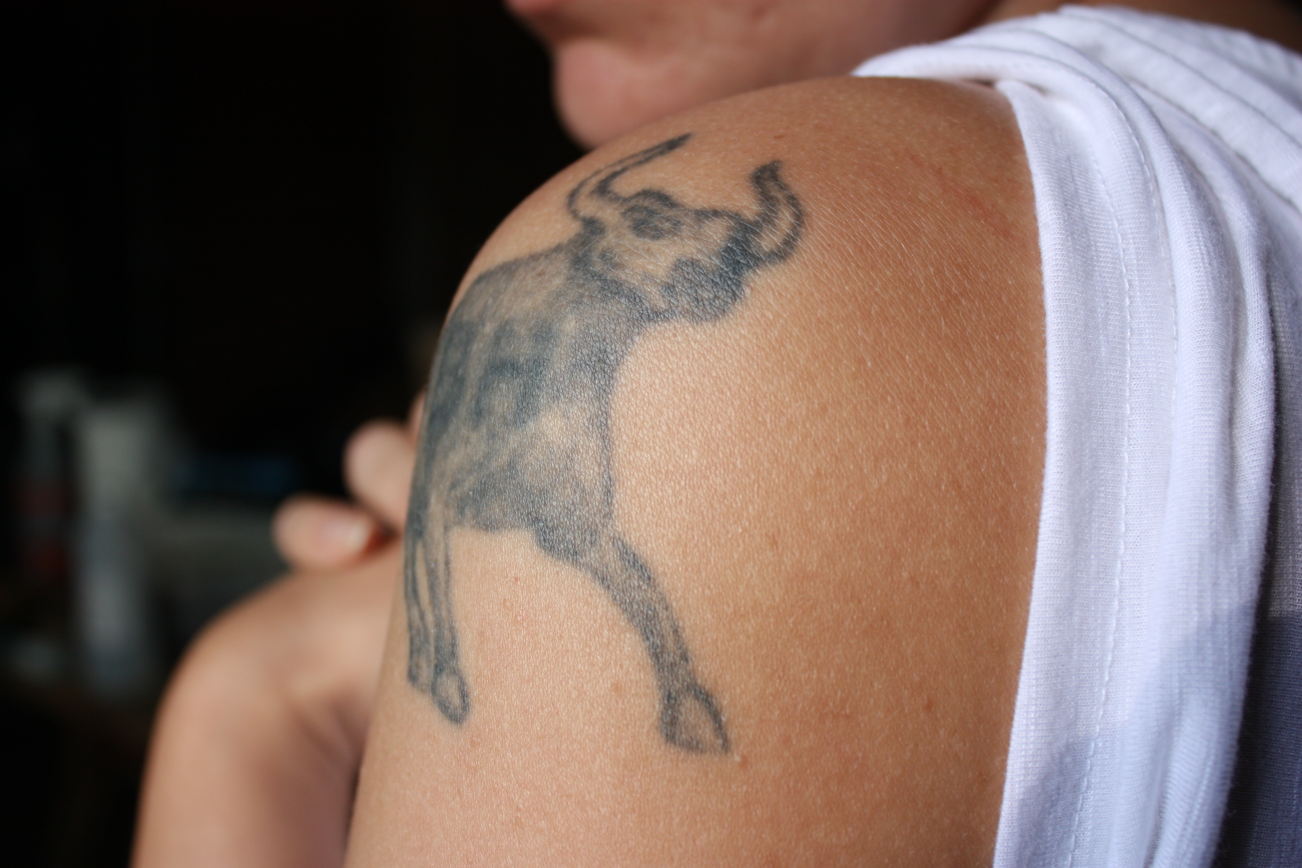 5 Stunning Taurus Bull Tattoo Ideas for Zodiac Enthusiasts