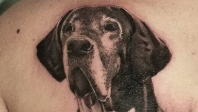 The 10 Cutest Great Dane Dog Tattoo Ideas That Show Your Love Pet Reader