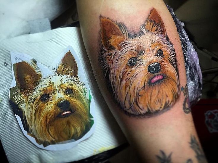 The 14 Best Yorkshire Terrier Tattoo Ideas Artofit