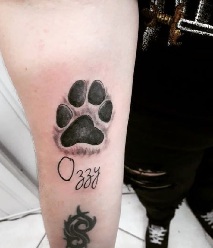 The 80 Cutest Paw Print Tattoos Ever Page 2 The Paws Pawprint