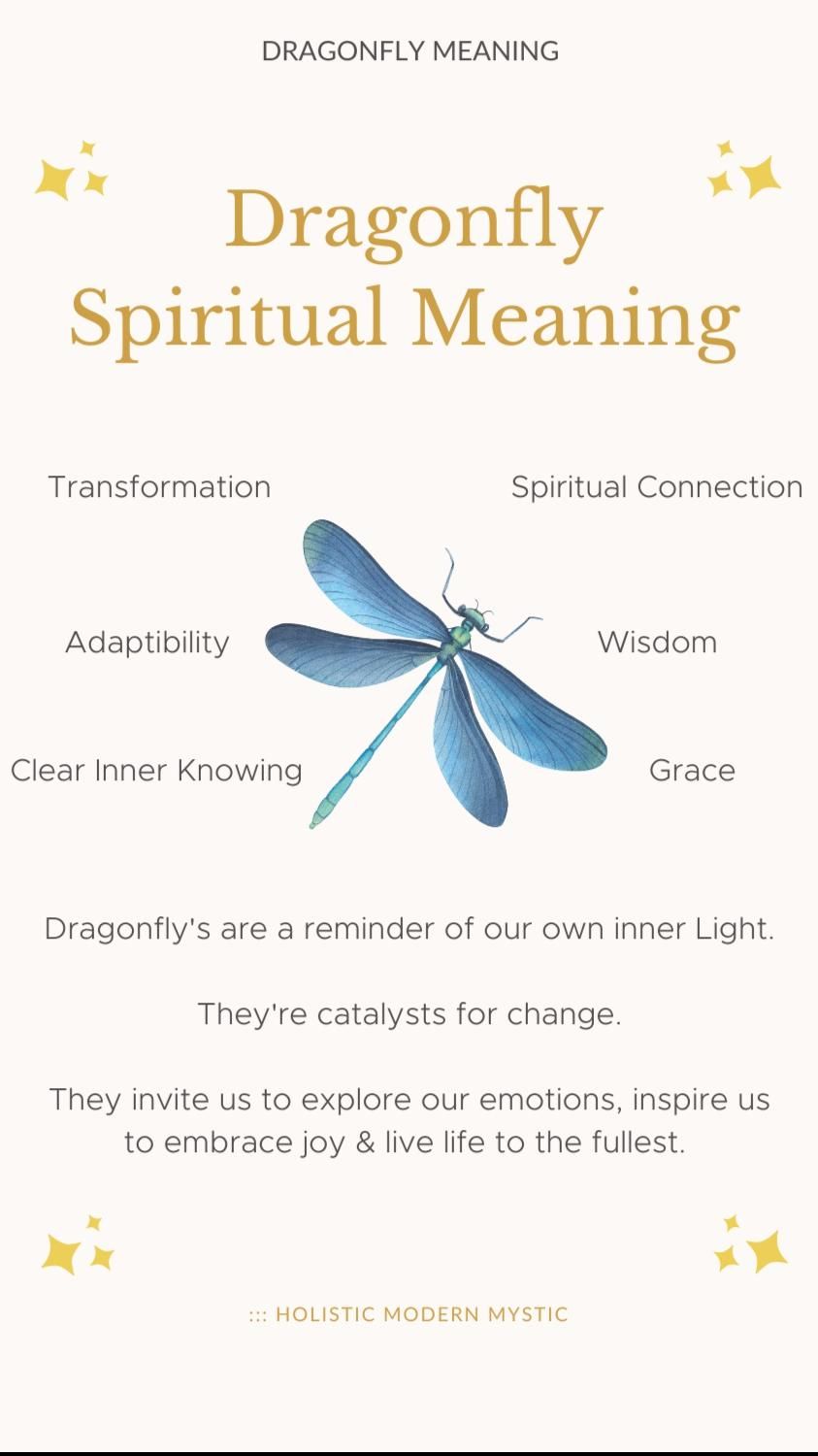 The Dragonfly Meaning Symbolism And Spiritual Significance Artofit