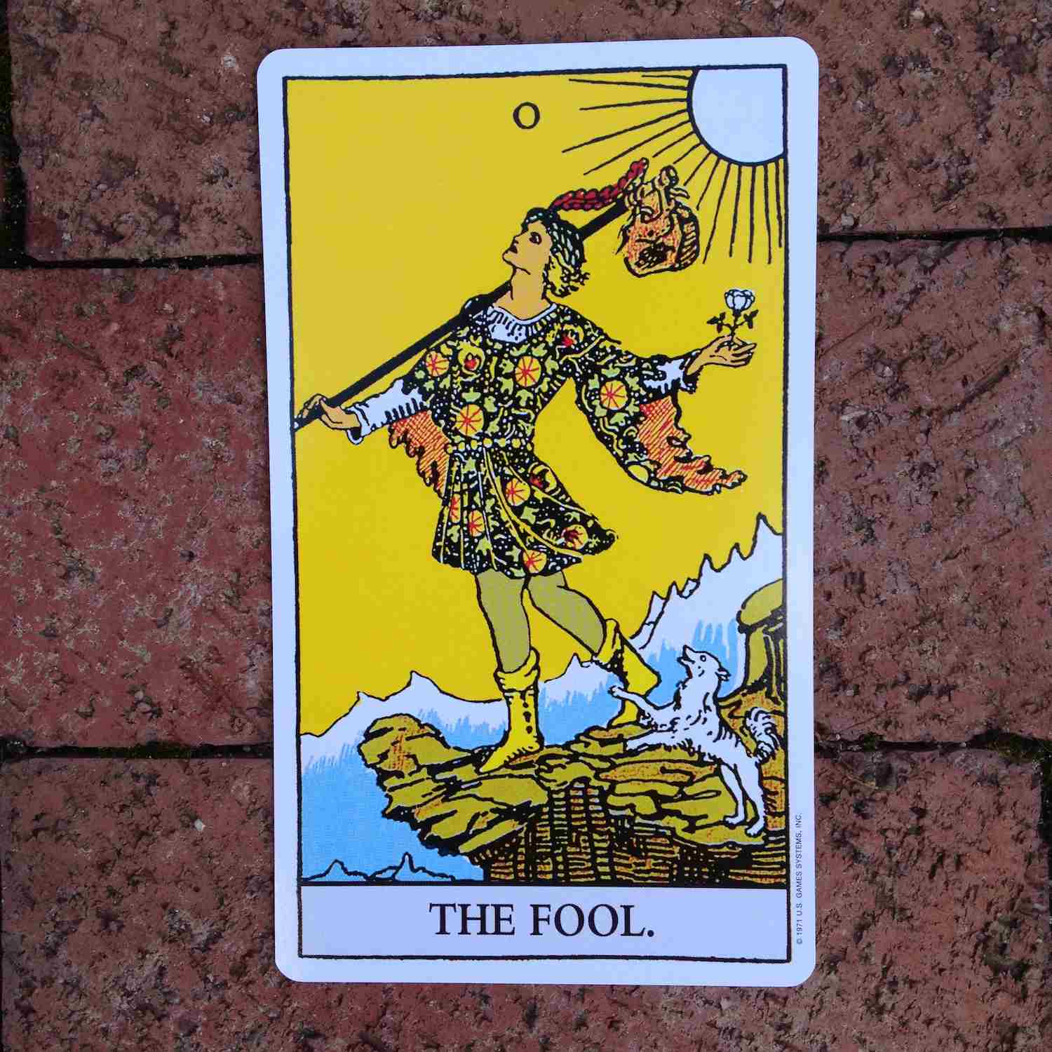 The Fool The Bones Arcana Tarot In 2021 Tarot Cards Art