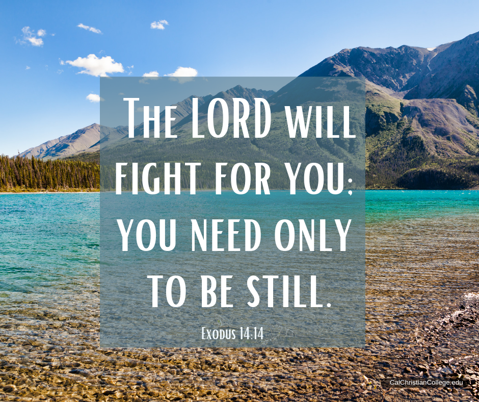 The Lord Will Fight For You You Need Only To Be Still Exodus 14 14