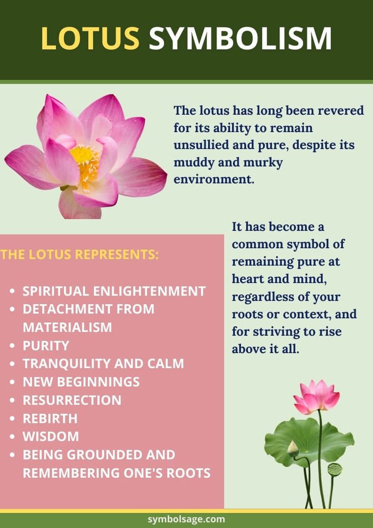 The Significance And Symbolism Of Lotus Flower Tattoos Artofit