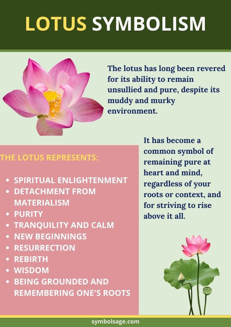 The Significance And Symbolism Of Lotus Flower Tattoos Self Tattoo