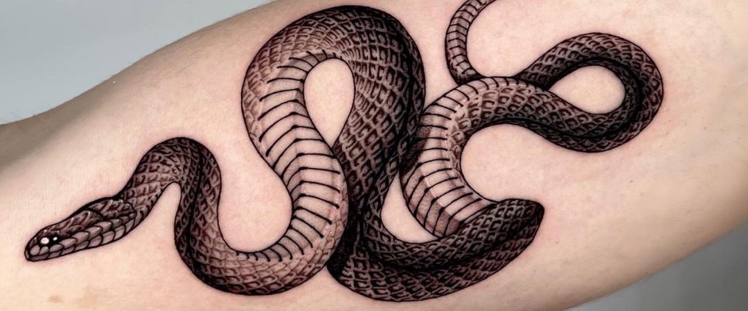 Thewildtattoo Com Snake Tattoo Design Serpent Tattoo Snake Tattoo