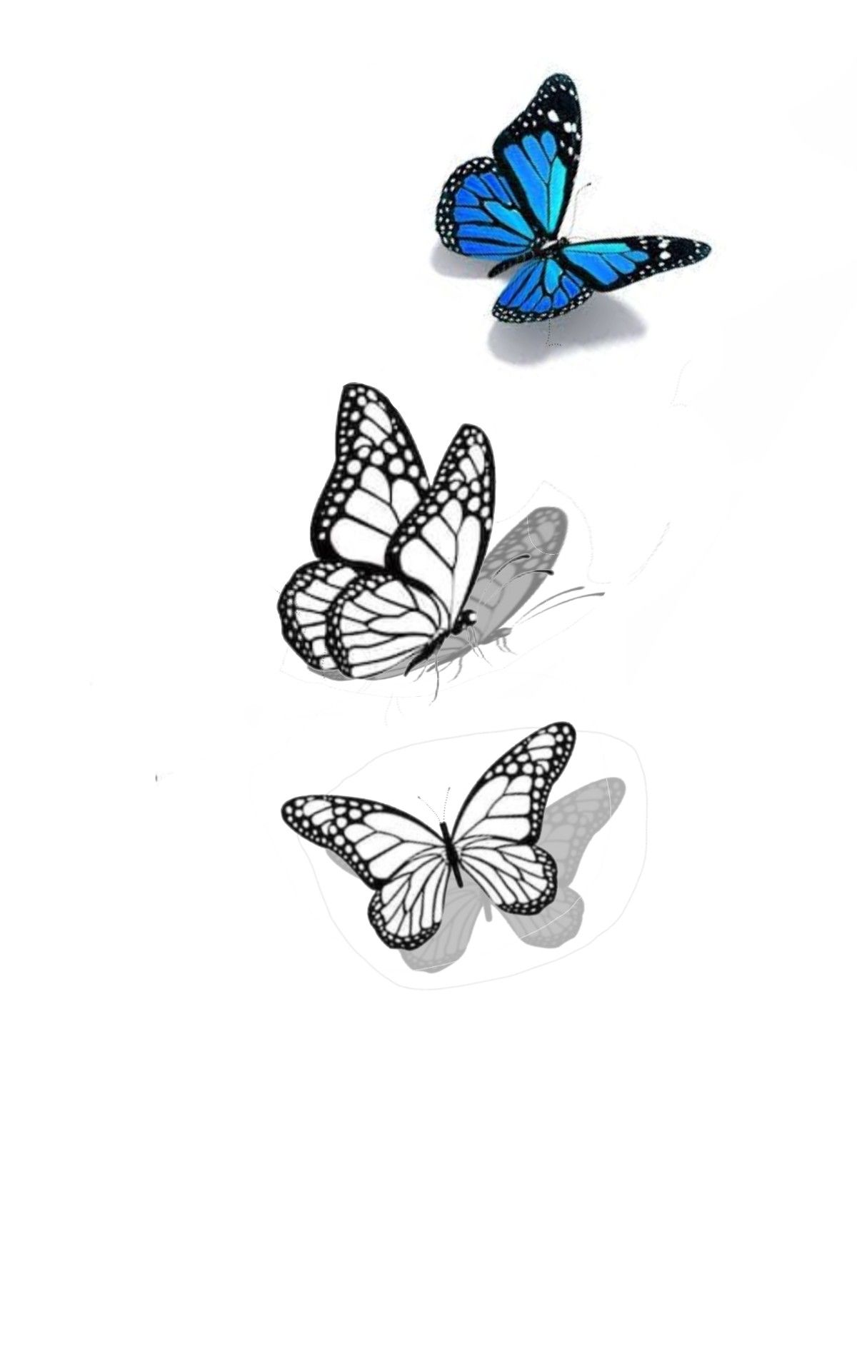 Three Butterflies Flying In The Air With Swirls And Flowers On It S Wings