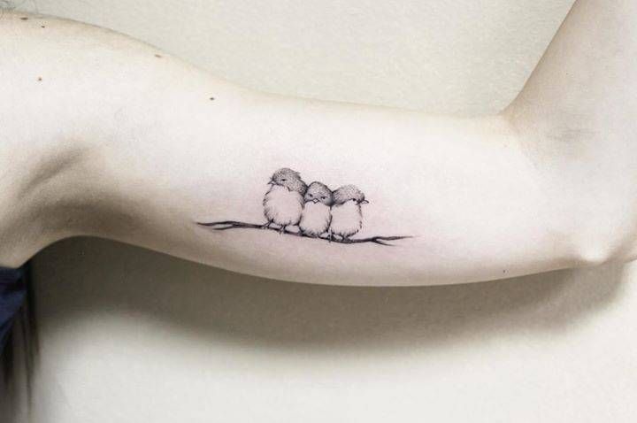 Three Little Birds Ink Little Bird Tattoos Gorgeous Tattoos Dainty