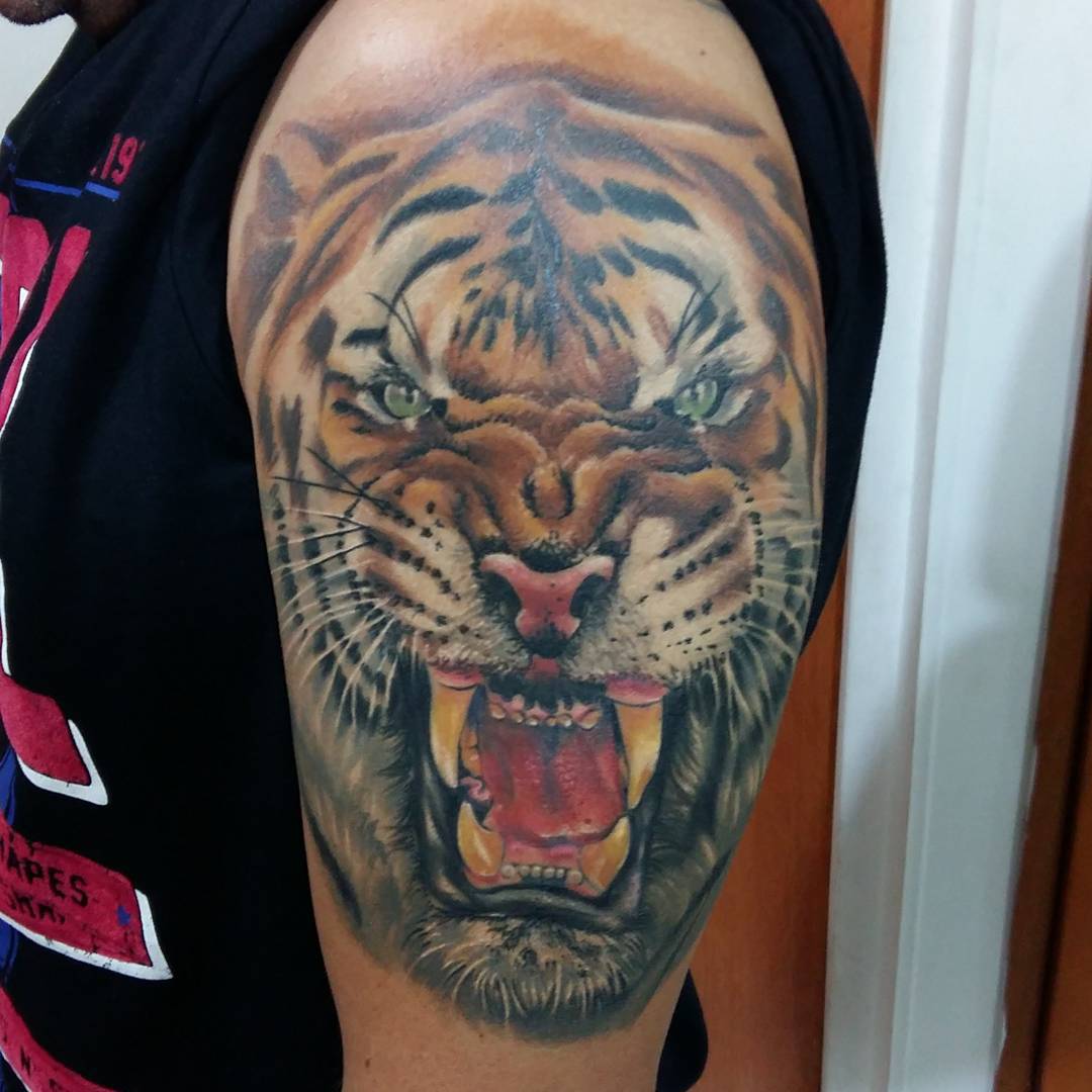 10 Fierce Tiger Tattoo Ideas for Men